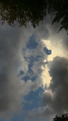 A vertical video of the sky shows clouds passing over. The clouds range in color from dark gray to white and yellow, indicating varying degrees of light penetration. There are patches of blue sky visible through gaps in the clouds. The tops of some trees, with green and yellow leaves, are visible at the very top and bottom edges of the frame.