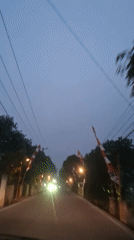 Flag-lined streets and wall lizards in Cibinong Hilir