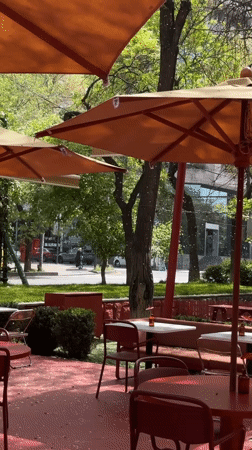 Morning scenes captured at Yerevan cafe and park