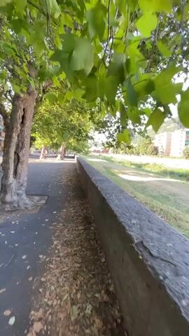 A first-person perspective video shows a paved walkway alongside a stone wall. Tall trees with green leaves overhang the walkway on the left, casting shadows. Fallen leaves are scattered on the walkway. On the right side of the wall, there is a grassy area that slopes down to a dry riverbed or field. In the distance, there are buildings and trees on a hill. The camera is in motion, suggesting movement along the walkway. The lighting indicates it is daytime.