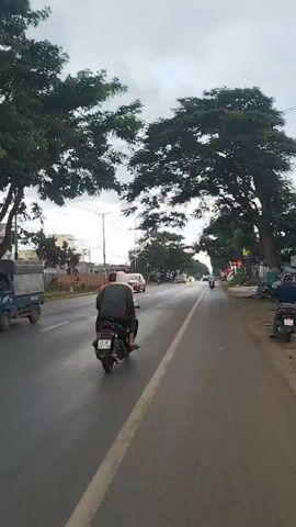 A video captures a view from the perspective of someone moving along a paved road. The road is wet, suggesting recent rain, and has a white line marking the lane. Trees with dense green foliage line the right side of the road, their branches extending over the pavement. On the left side of the road, there are buildings and more trees. Several vehicles are visible. A motorbike with a rider wearing a dark jacket and helmet moves ahead in the same lane as the camera. Further ahead, a white SUV is seen, and other vehicles are present in the distance. The sky is overcast, with gray clouds. Debris, possibly trash bags, is piled up on the right side of the road near the trees. The overall atmosphere appears to be that of a somewhat overcast day on a roadside.