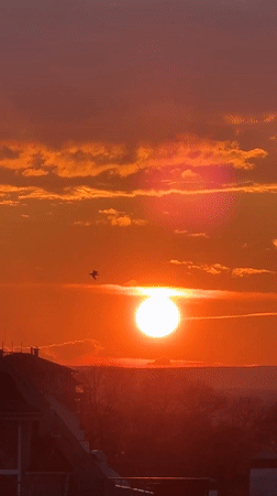 Vibrant sunset captured by witnesses in Varna, Bulgaria