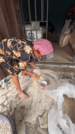 White beans sorted and bagged in Onitsha market