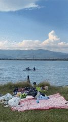 Lakeside hangout at Tbilisi Sea with paddleboards and a husky