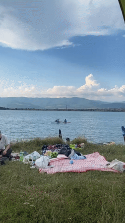 Lakeside hangout at Tbilisi Sea with paddleboards and a husky