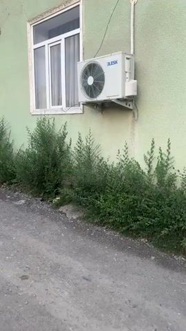 The video shows a close-up view of a light green building's exterior wall, with a window and an air conditioning unit visible. A row of dense green bushes lines the base of the wall, extending along a gravel path. The path runs diagonally across the foreground, suggesting a walkway or a narrow road. The scene is outdoors, and the lighting indicates it could be daytime, possibly late afternoon given the soft light.

The air conditioning unit is white and has the brand name "BLESK" clearly visible in blue lettering. The window is white-framed and has sheer white curtains visible inside. The building's wall shows some texture and minor imperfections. The bushes are lush and green, indicating a temperate climate, and they partially obscure the base of the building. The gravel path is rough and appears somewhat uneven.

In the background, beyond the immediate building, other structures and elements are faintly visible. To the left, there's a glimpse of another building, possibly yellow, and a tall tree. Further back, a blue car is parked on what looks like a paved area. The overall impression is of a residential or semi-commercial area in a somewhat rural or less developed setting. No people are visible in the frame. The video appears to be a static shot, focusing on the building's facade and the surrounding greenery and path. The absence of any specific action suggests it might be a brief environmental recording or a detail shot of the location.