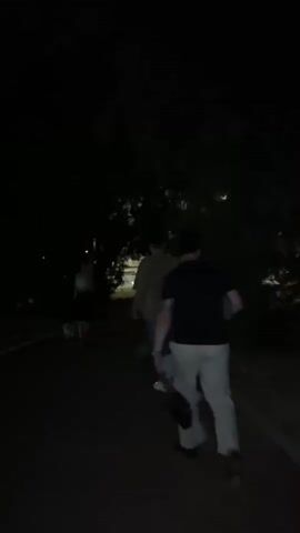The video captures a nighttime scene on a paved path bordered by trees. In the foreground, a person wearing a dark t-shirt and light-colored pants walks away from the camera, carrying a bag. Further ahead on the path, another person, wearing a tan jacket and blue jeans, walks a small white dog on a leash. Behind them, a third person, wearing a light-colored top and dark skirt, is also walking with a dog. The environment is dimly lit by artificial lights, and foliage is visible on either side of the path.