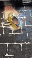 Street Art Documentation Session Captures La Paz Mural Scene