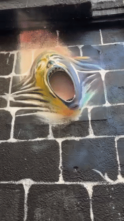 Street Art Documentation Session Captures La Paz Mural Scene