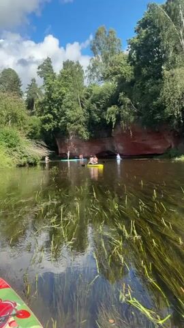A group of people are paddleboarding on a river. The river is lined with trees and has a large rock face on one side. The water is clear and you can see plants growing on the riverbed. The sky is blue with some clouds. The video is shot from a low angle, looking across the water.