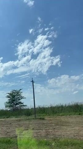 The video shows a wide shot of a rural landscape on a clear day. The sky is a vibrant blue with scattered white clouds. In the foreground, there is a field of dry grass, likely hay, with some green grass and vegetation at the very bottom of the frame. Two trees are visible in the middle ground. The tree on the left is full and bushy, while the tree on the right is taller and more conical in shape. In the background, there is a line of dense green foliage and trees. Power lines are visible stretching across the upper portion of the frame. The scene appears to be in motion, suggesting the video was recorded from a moving vehicle. There are no people or animals visible.