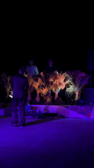 DJ Performance Staged Behind Decorative Plants in Kedisan