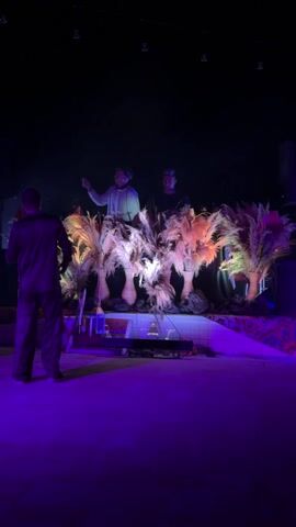 The video shows a performance stage illuminated with purple and red lighting. Two performers stand behind a row of tall vases filled with feathery plants, appearing to DJ. In front of the stage stands a person wearing a dark outfit, facing the stage and dancing. A rug with ornate patterns is placed on the stage floor. The background is dark.