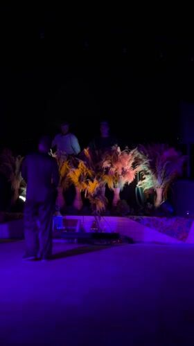 DJ Performance Staged Behind Decorative Plants in Kedisan