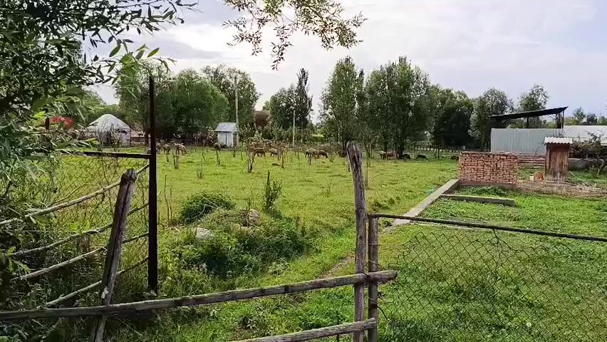 The video shows a rural landscape with a grassy field, trees, and a few buildings in the background. Several horses are grazing in the field. A wooden fence with wire mesh runs along the foreground, with a gate made of logs. A small brick structure is visible on the right side of the field. The sky is overcast.
