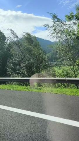 A video, captured from a moving vehicle, shows a roadside view. The foreground consists of a gray asphalt road with a white line on the left edge and a metal guardrail. Beyond the guardrail is a grassy embankment and then a green field. In the background, lush green trees of various sizes are visible, with rolling hills and mountains covered in greenery under a blue sky with white clouds. The camera appears to be looking out the side window of the vehicle, suggesting a scenic drive.