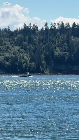 A small boat is seen moving across the water in front of a tree-covered hill. An airplane is visible in the sky. The water is choppy and reflects the sunlight.