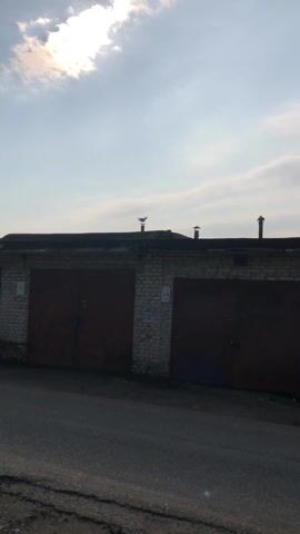 The camera faces a row of brick garages, each with closed, dark-red doors. Numbers are affixed to each garage. Two seagulls are perched on the roof of the garage furthest from the camera.  The sun is high in a partly cloudy sky. Cracks in the asphalt street in front of the garages are visible.