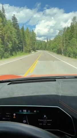 The video begins with a view from inside a car driving on a paved road. The road is surrounded by a dense forest of green trees and is under a bright blue sky with scattered white clouds. The car's dashboard and steering wheel are visible in the foreground. The car's digital display shows a speed of 99 and then changes to 100. The camera pans slightly, showing the road ahead as it curves slightly to the left. The scenery remains consistent throughout the short clip.