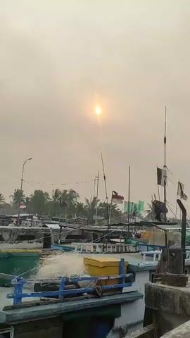 The video shows a harbor with many fishing boats docked. The sun is visible in the hazy sky. Several Indonesian flags are flying on the boats and poles. A motorcycle is parked on the concrete pier in the foreground. In the background, there are buildings and palm trees. The video appears to be a static shot panning slightly to the right, focusing on the harbor and the parked motorcycle.