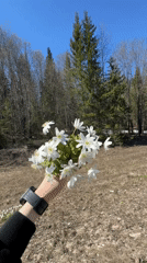 Person holds white flower bouquet in Russian countryside