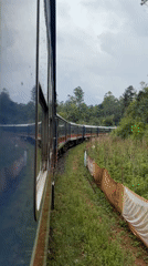 Train travels curved track in Heeloya, Sri Lanka