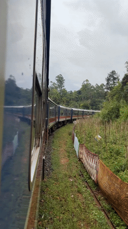 Train travels curved track in Heeloya, Sri Lanka