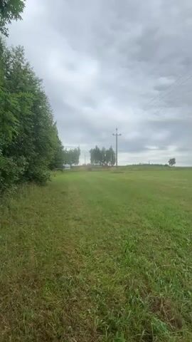 The video shows a panoramic view of a grassy field under a cloudy sky. In the foreground, the grass is a mixture of green and dried stalks, suggesting it has been recently mowed or grazed. A path can be seen winding through the grass on the left side of the frame. In the midground, a single utility pole with power lines stretches across the scene. Further in the distance, there are clusters of trees and more distant vegetation. The overall atmosphere is that of an open, rural landscape on an overcast day.