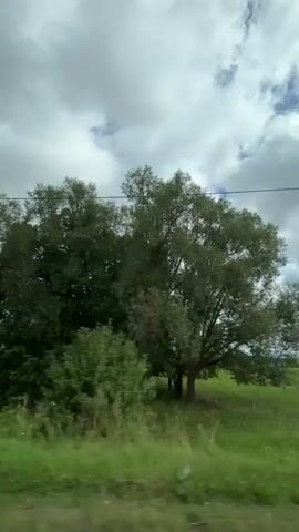 The video shows a view from a moving vehicle, likely a car or train, traveling through a rural area with scattered houses and trees. The sky is overcast with dramatic clouds, with occasional glimpses of blue sky. The landscape consists of green fields, some with scattered debris or hay bales. Several houses, mostly wooden and single-story, are visible, some with fences and driveways. In one scene, a few animals, possibly sheep or goats, are grazing in a field. The video also captures utility poles and wires that run across the frame. The overall impression is of a quiet, pastoral setting under a dynamic sky.