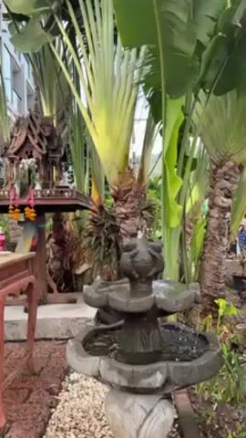 The video shows a lush outdoor setting. There is a small decorative fountain in the center, with water trickling down its levels. To the left of the fountain, there is a traditional Thai spirit house on a wooden platform, adorned with offerings. Tall banana trees surround the area, creating a tropical ambiance. A building can be seen in the background.