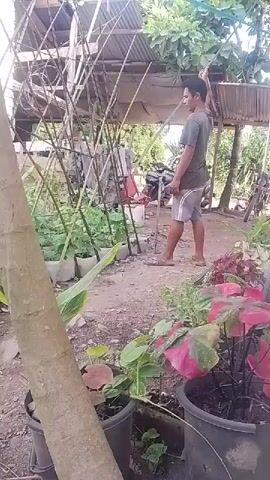 A young man in a grey t-shirt and grey shorts stands in an outdoor garden. He is barefoot and appears to be tending to plants on a trellis made of bamboo poles. The garden has various plants in pots, some with large green and pink leaves. In the background, there is a simple structure with a corrugated metal roof, possibly a shed or shelter. There is also a motorcycle parked in the background. The overall setting appears to be rural.