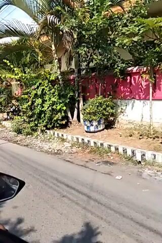 The video shows a person riding a motorcycle down a paved road. On the right side of the road, there is a pink and white building with a large ornate gate. The gate is made of metal and has a golden color. Above the gate, there is a banner with text and images. The building appears to be a school, as suggested by the text on the banner, which includes "SD NEGERI 3 KEDUNDREJO". There are also palm trees and other lush vegetation surrounding the building. The road is mostly clear, with some debris visible along the side. The sky is blue and the sun is shining. The video is shaky, indicating it was likely recorded by someone in motion.