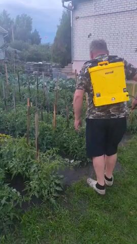 A man with graying hair and glasses is spraying plants in a garden. He is wearing a camouflage t-shirt and black shorts, and a yellow backpack sprayer. The garden appears to be filled with tomato plants, supported by stakes. A white house with a gutter system is visible in the background. The sky is overcast, suggesting it may be evening or a cloudy day. The man is holding a spray wand, directing it at the plants.