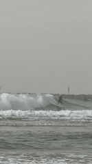 Dense fog shrouds Tel Aviv coastline amid rough seas