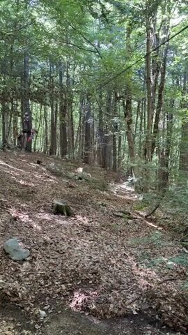 The video shows a forest scene with tall trees and a ground covered in dry leaves. One individual, appearing to be a child or young adult, wearing a helmet, white t-shirt, gray pants, and a safety harness, is seen zip-lining through the forest from left to right. The person is suspended by a cable and pulley system, actively holding onto the equipment as they move through the air. Other individuals are partially visible in the distant background near what appears to be a starting platform. Sunlight filters through the tree canopy. The camera slightly pans to follow the zip-liner.