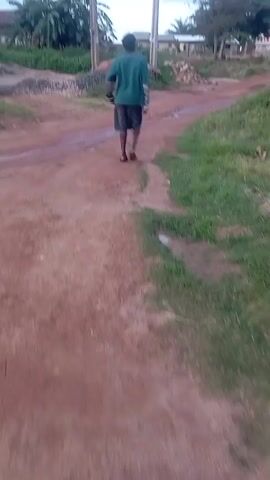 A blurry video shows a person walking away from the camera on a dirt road. The person is wearing a green shirt and dark shorts and carrying a light-colored object in their right hand. The road is wet in places, indicating recent rain. To the right of the road, there is green grass and some vegetation. In the background, there are trees and buildings, suggesting a rural or semi-rural environment. There are utility poles visible as well. The sky is overcast.