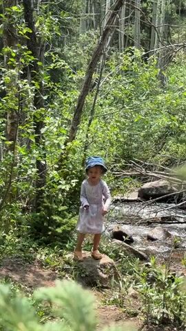 A young child, wearing a light-colored dress and a blue bucket hat, stands on a rock next to a flowing stream in a wooded area. The child is facing the camera, with their arms bent and hands near their chest, appearing to be dancing or posing. Their expression is somewhat serious, with their mouth slightly open. The stream has rocks visible in its bed, and the water is clear and moving. The background is filled with lush green trees and foliage, with sunlight filtering through the leaves, suggesting it is daytime. Some of the trees are tall and slender, possibly aspens, while others are broader with leafy branches. There are fallen branches and more rocks scattered around the stream and forest floor. The overall scene conveys a sense of nature exploration and childhood play in a serene outdoor environment. The location is identified as Saint Elmo, United States. There is no visible text in the media file.