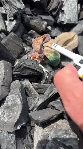 A close-up shot shows a hand holding a white disposable lighter near a small bundle of cloth. The cloth appears to be soiled with a reddish substance and has a green patch. The cloth is situated on a pile of dark, irregularly shaped charcoal pieces. The lighter's flame ignites the cloth, producing a bright orange fire that flickers and grows. The scene is outdoors with natural lighting, highlighting the textures of the charcoal and the flames.