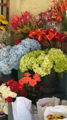 Early morning flower market activity captured in North Kuta