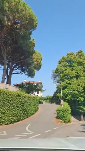 The video shows a view from a vehicle traveling on a paved road. The road is lined with manicured hedges on both sides. Tall trees, including a large pine tree on the left and a deciduous tree on the right, provide shade. In the background, a white building with a red-tiled roof is visible, partially obscured by greenery. The sky is clear and blue. As the vehicle continues, a tall, pale building with multiple windows and what appears to be a tower comes into view on the left. Another part of the building or a separate structure is visible on the right. The scene appears to be a driveway or road leading to a property.