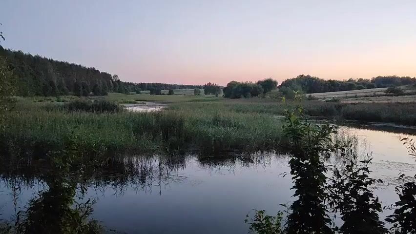 The video shows a natural landscape at dusk. A calm body of water with reeds lines the foreground. In the middle ground, there is a marshy area with tall grass and scattered trees. The background features a gently rolling hill dotted with trees and a field. The sky above is a soft gradient of pale pink and purple, indicating the twilight hour. No people or specific objects are visible other than the natural elements. The overall atmosphere is serene and tranquil.