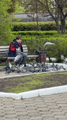 Morning park life captured in Krasnoyarsk: pigeon feeding, fountain photos