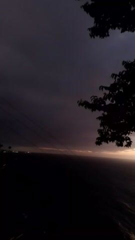 A video captured at night shows a body of water with a faint light on the horizon. In the foreground, the silhouette of tree branches and leaves obscure part of the view. Power lines are visible running horizontally across the frame. The scene is dark, with the light on the horizon suggesting a distant man-made light source or a very faint moon or twilight glow. The water appears to be slightly choppy.