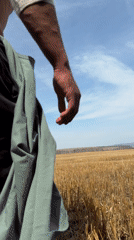 Man walks through harvested field in rural Russia