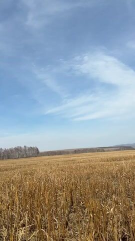 A man walks away from the camera through a dry, harvested field under a blue sky with scattered clouds. He is shirtless, wearing black sweatpants and red sneakers, and has a bandage on his left elbow. He carries a green shirt draped over his shoulder. The field extends to a distant tree line, and a faint mountain range is visible on the horizon.