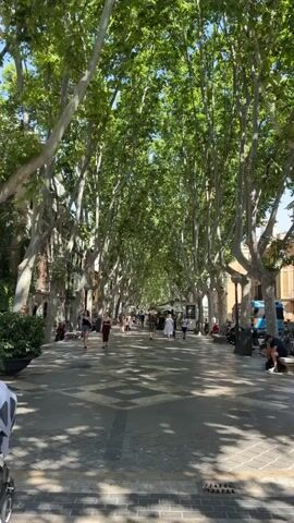 The video shows a tree-lined pedestrian walkway with people walking. Sunlight casts shadows from the trees onto the patterned pavement. The walkway is bordered by buildings on either side, with some parked cars and benches visible. People are casually strolling, some appearing to be tourists. There is a baby stroller in the foreground on the left. The overall impression is a pleasant, sunny day in a town or city.