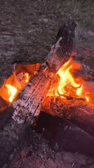 Campfire and waterfront twilight, same evening