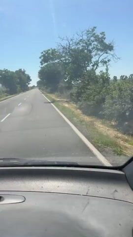 The video shows a first-person view from inside a vehicle driving on a paved road lined with trees and vegetation. The dashboard and steering wheel are visible in the foreground. The road appears to be in a rural or semi-rural area with a clear blue sky overhead. Sunlight creates glare on the windshield. The vehicle's speedometer shows a speed of approximately 30 kilometers per hour. The video also includes Bulgarian audio.