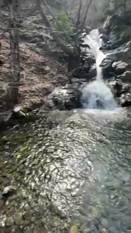 The video shows a small waterfall flowing into a pool in a natural environment. The waterfall is framed by rocks and trees on either side. The pool is clear and shallow, with visible stones at the bottom. The water is rippling gently in the foreground. A person is sitting with their feet dangling over the edge of the pool. They are wearing black pants and black hiking boots. The environment appears to be a forested area with bare trees suggesting a cooler season.