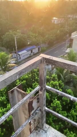 This video captures a serene sunset scene in Kabalana, Sri Lanka, as viewed from a high vantage point. The primary subjects are two buses driving along a road, surrounded by lush green vegetation, including palm trees and dense foliage. The setting is a semi-urban or rural area with scattered buildings and utility poles.

The activity depicted is simply the movement of the buses along the road, contributing to the everyday life of the location. The time of day is clearly sunset, with the sun low on the horizon, casting a warm, golden glow across the landscape and creating a soft, hazy atmosphere. The weather appears clear and pleasant, with a gentle light illuminating the scene.

Notable details include the vibrant green of the abundant plant life, contrasting with the asphalt road and the muted colors of the buses and buildings. The sunlight filtering through the trees creates a beautiful play of light and shadow. The perspective from above offers a panoramic view of the environment. A small building with text "CAFE CEYLON" is visible next to the road, providing a specific location cue. The overall mood evoked is one of tranquility and natural beauty, enhanced by the warm light of the setting sun. There are no people prominently featured, but their presence is implied by the activity of the buses and the existence of the cafe.